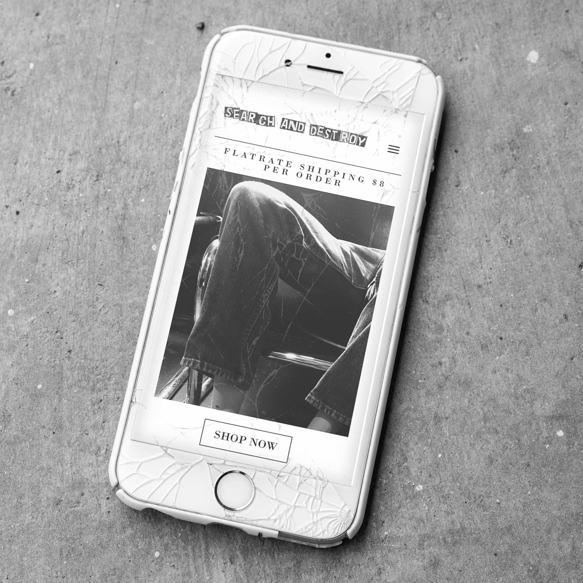 Search and Destroy Website